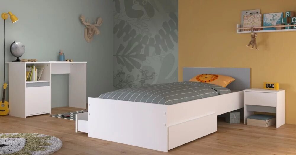 Pirouette 26 Milieu Jungen 2150 EN12 L290 2400TIRO BU1P CH1T scaled